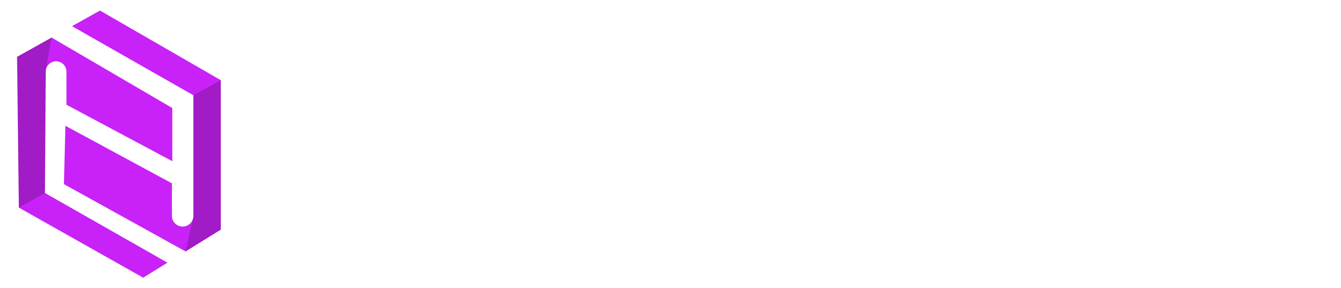 Nexxhunt logo